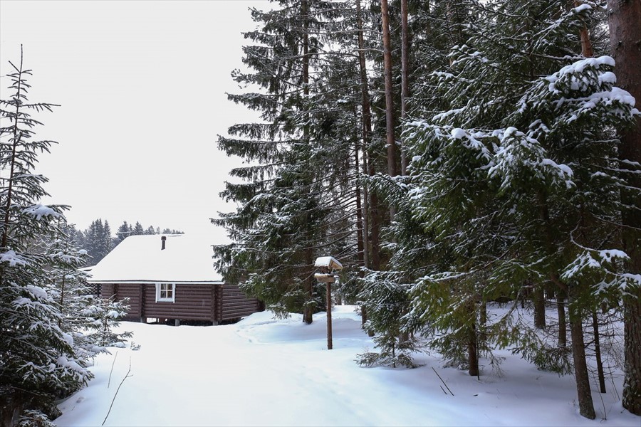 Фото Алавойне