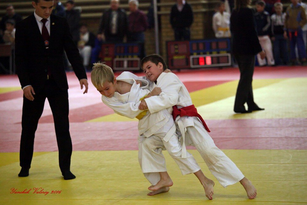 Sports school Sportivnaya shkola Olimpiyskogo rezerva po dzyudo Lokomotiv, Chelyabinsk, photo