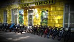 Magazin Chempion (Sotsialisticheskaya ulitsa, 41) ، متجر للدراجات الهوائية