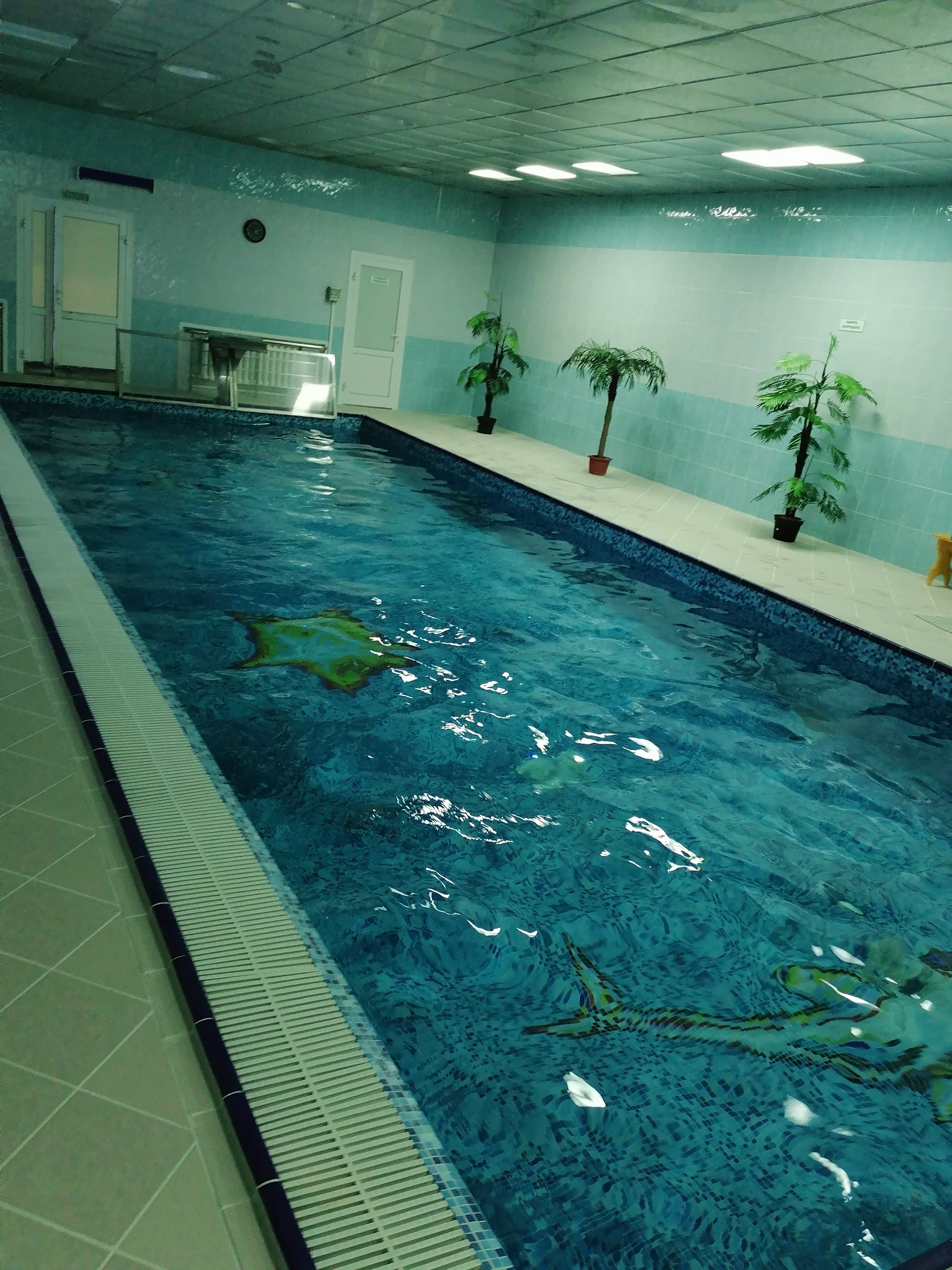 Фото Борисовский