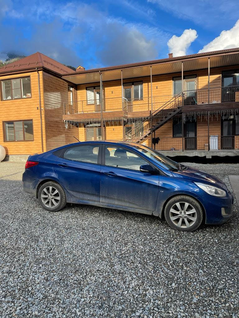 Фото Пихты Snow Point