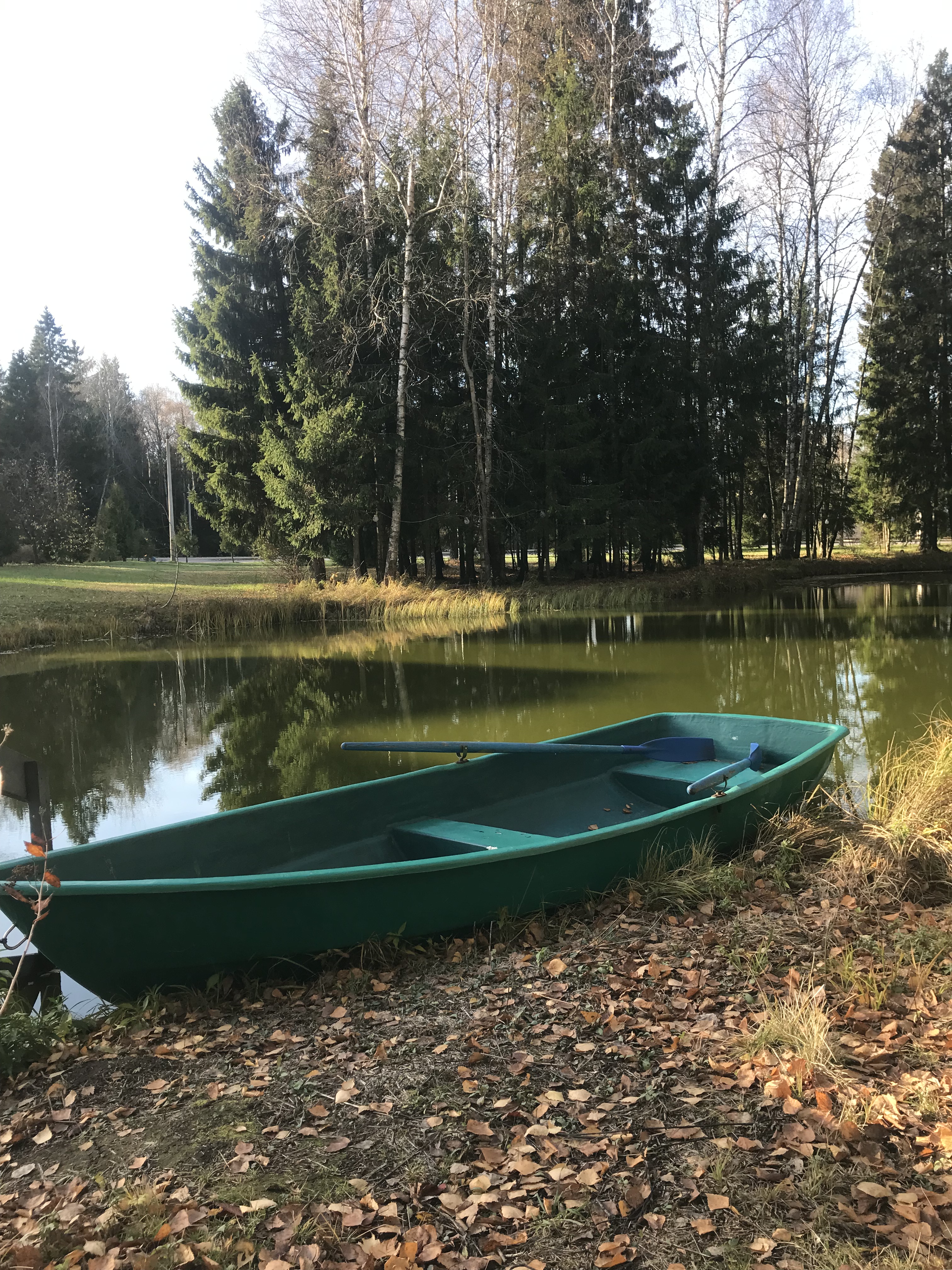 Фото Лафер Ренессанс