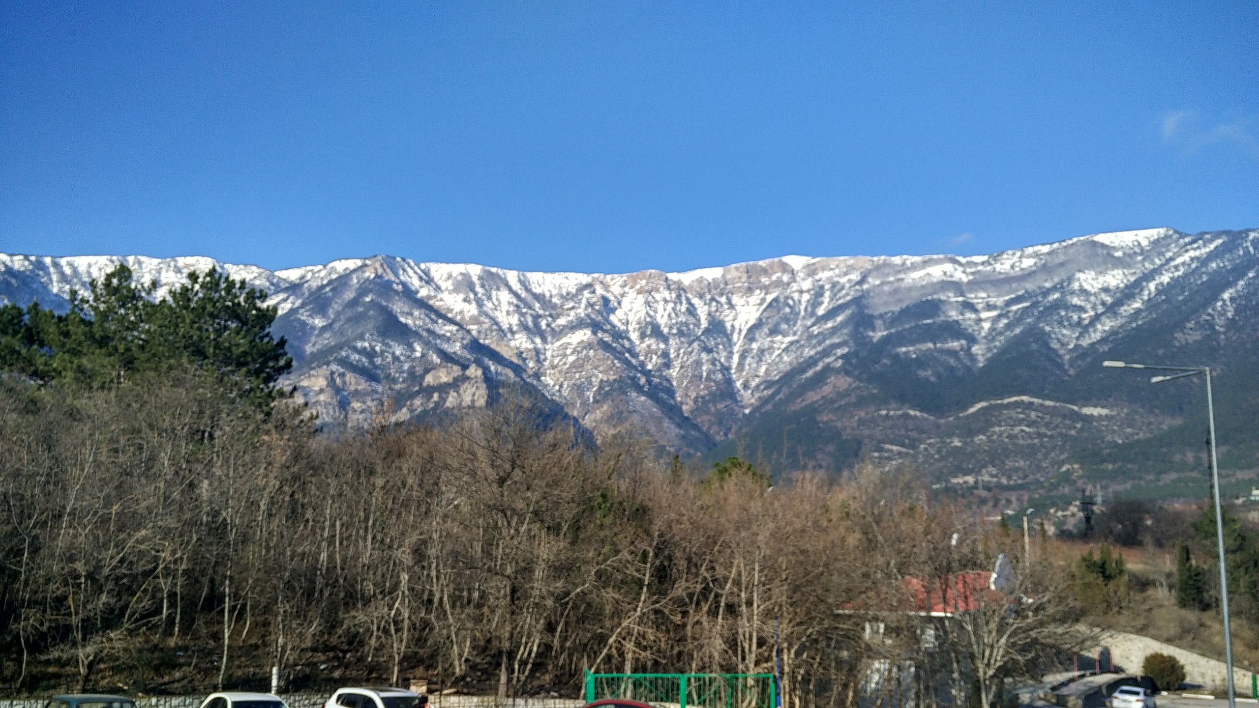 Фото Борода