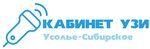 Ultrasound Diagnostics Cabinet (Festivalny proyezd, 9), ultrasonography
