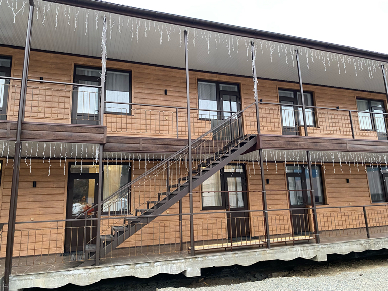 Фото Пихты Snow Point