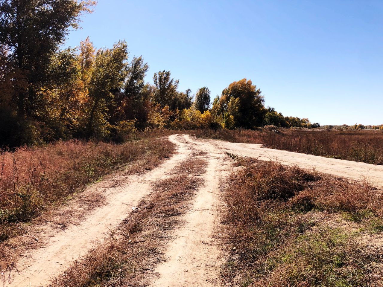 Фото База Звезда