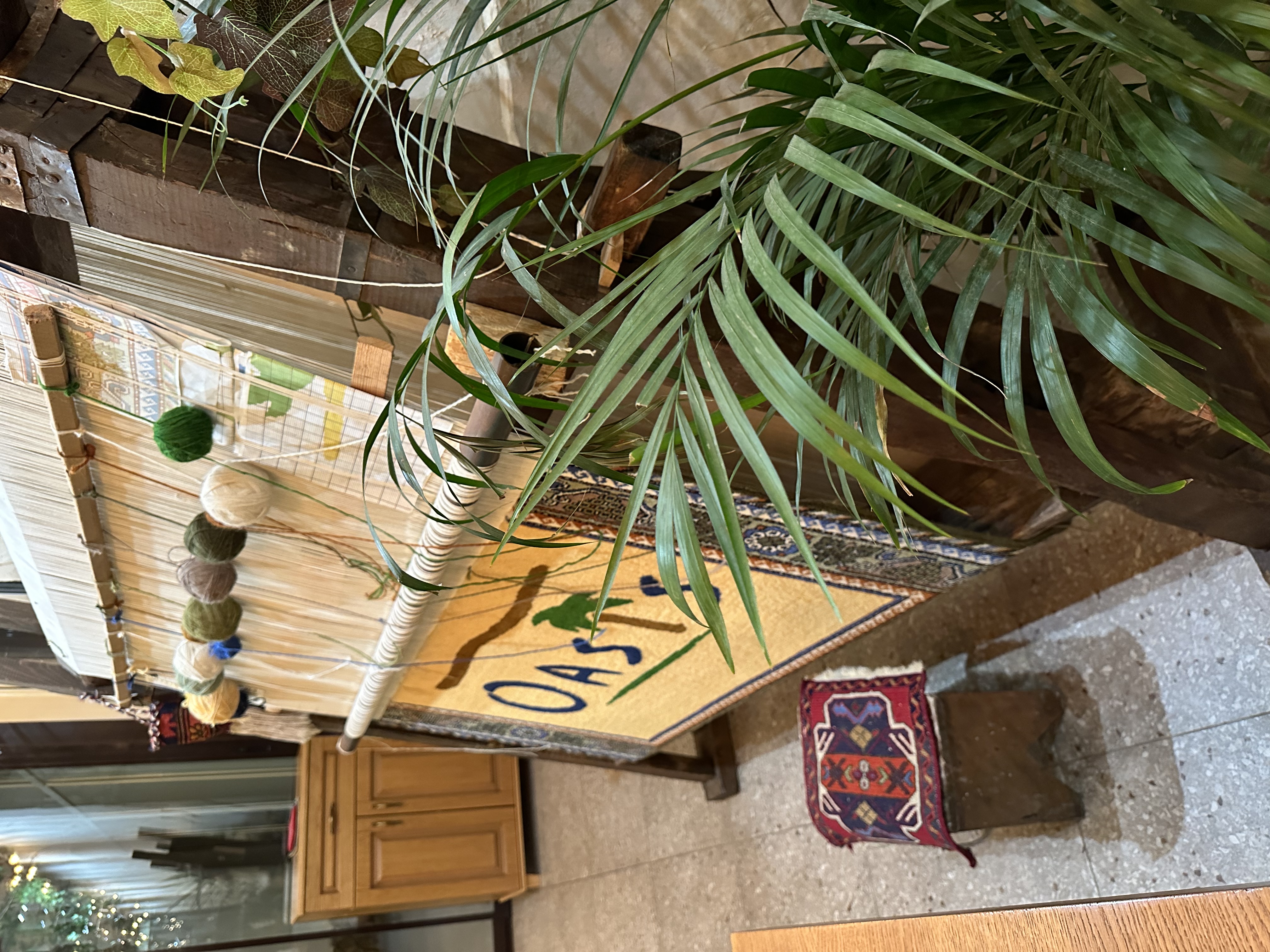 Фото Вилла Оазис