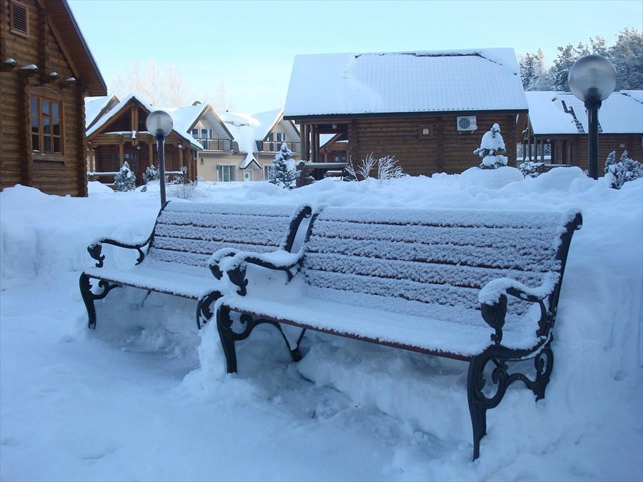 Фото Сосновый бор