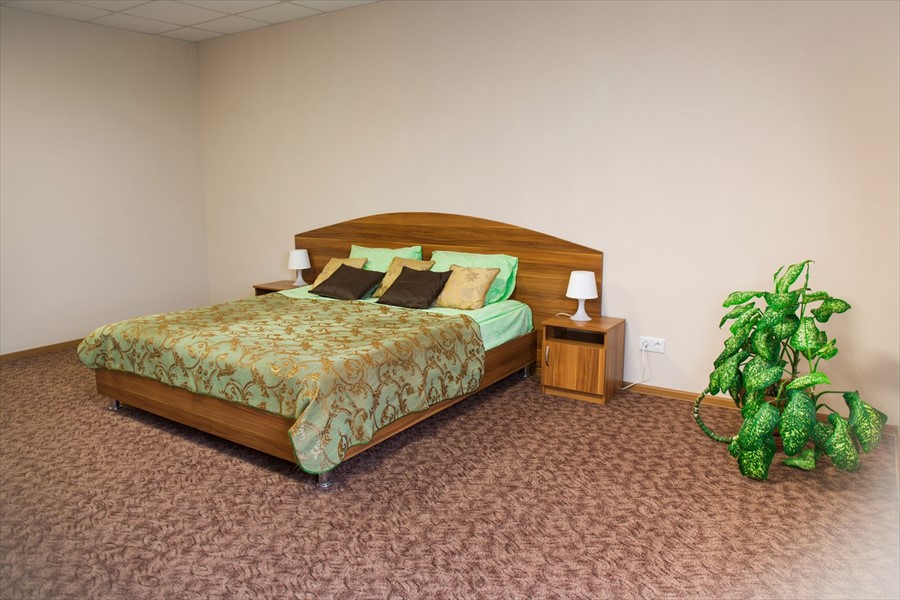 Фото Клевер