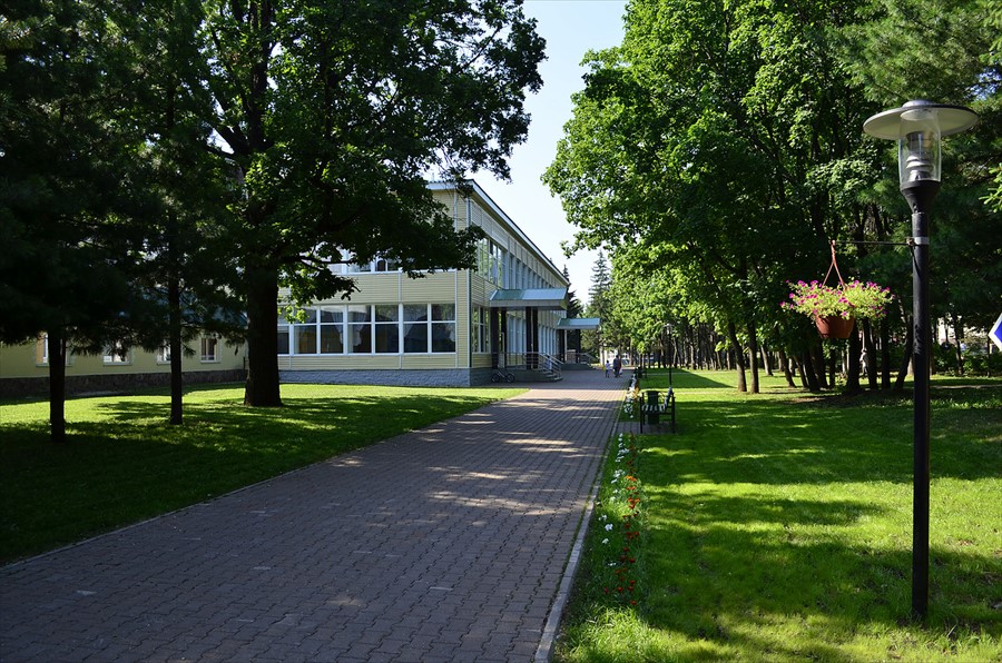 Фото Зеленая роща