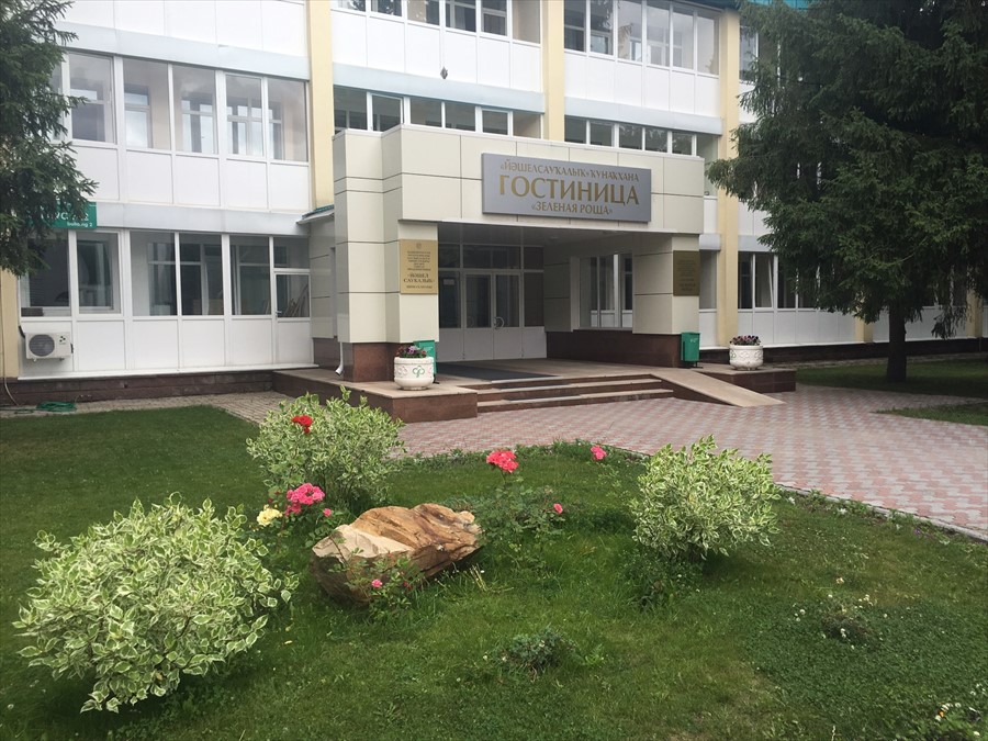 Фото Зеленая роща