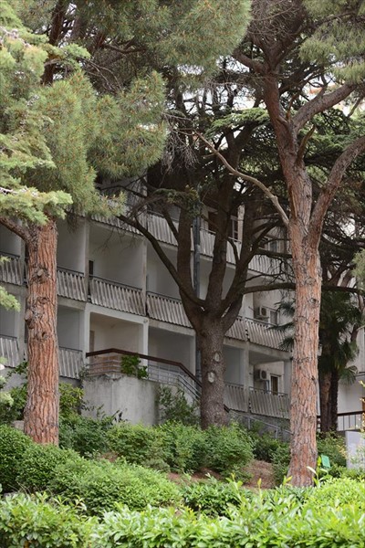 Фото Санаторий им. С. М. Кирова