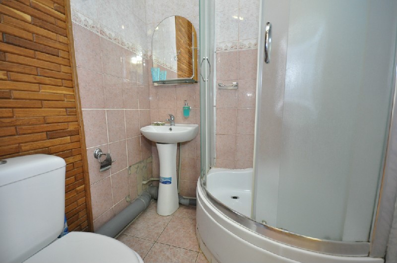 Фото Медный всадник