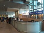 Singapore Airlines (Moscow Region, Domodedovo City District, Domodedovo Airport), airline