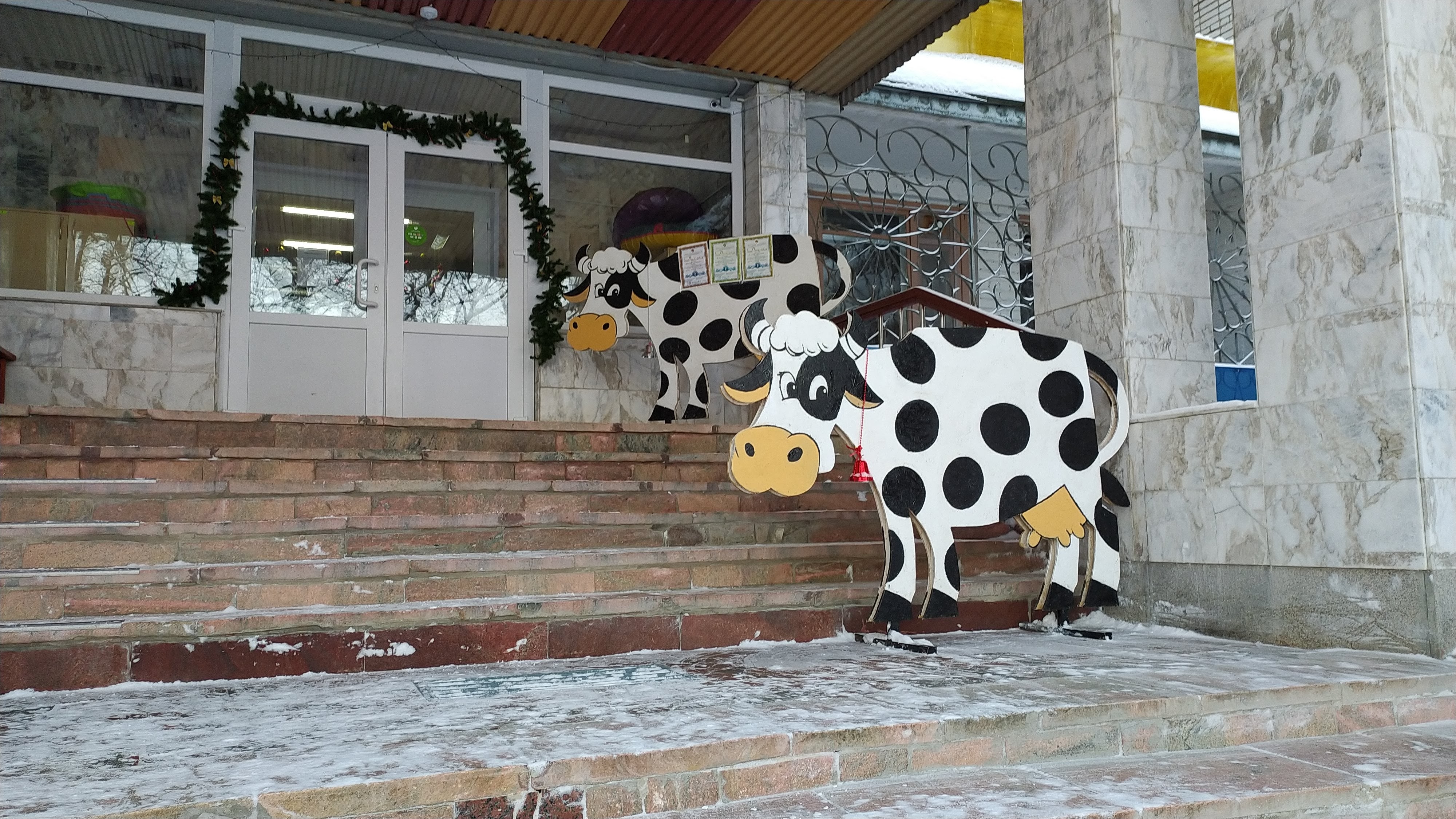 Фото Салампи