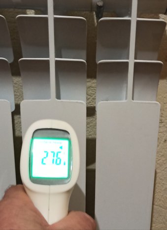 Фото Коралл