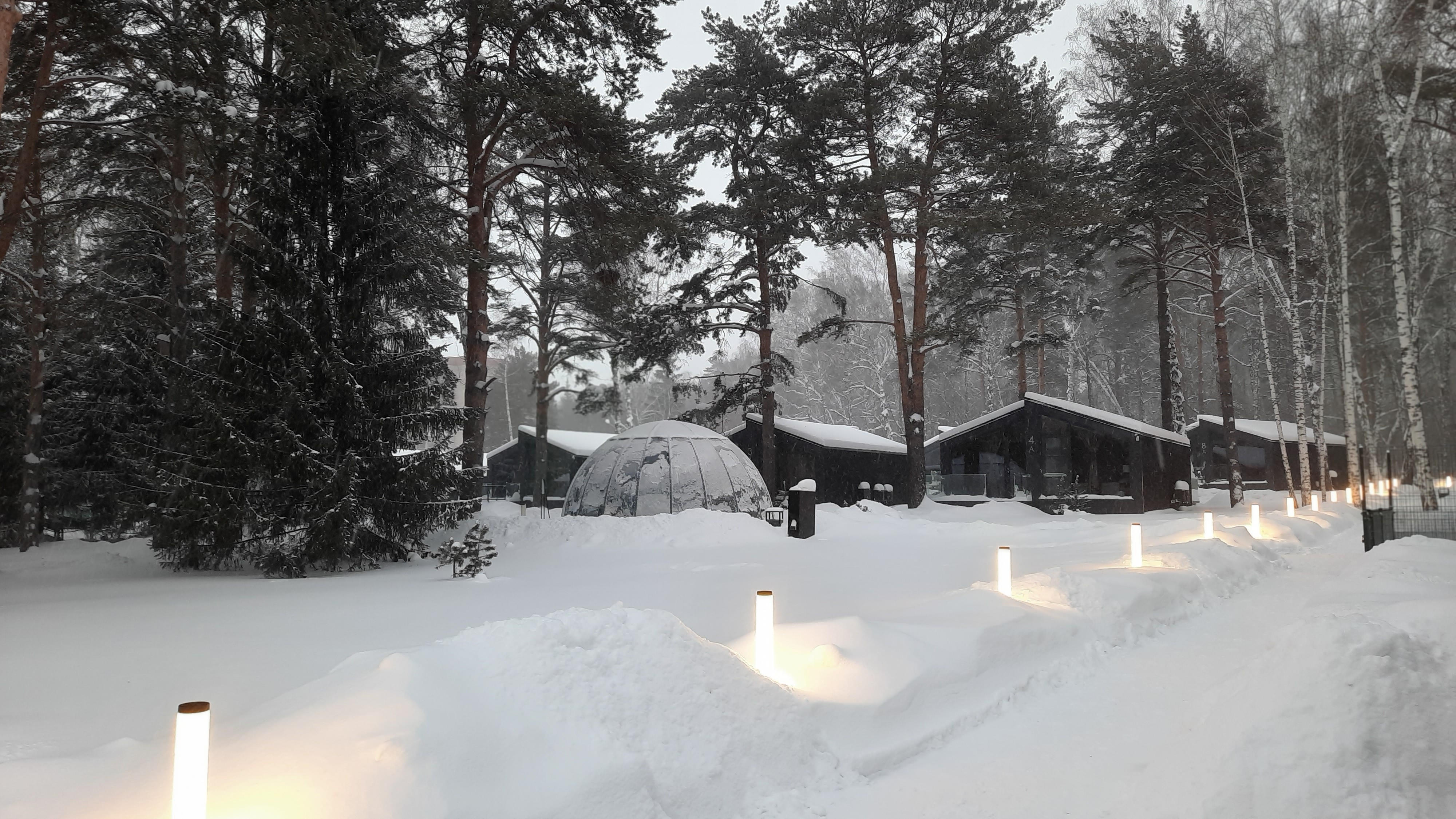 Фото Сосновый бор