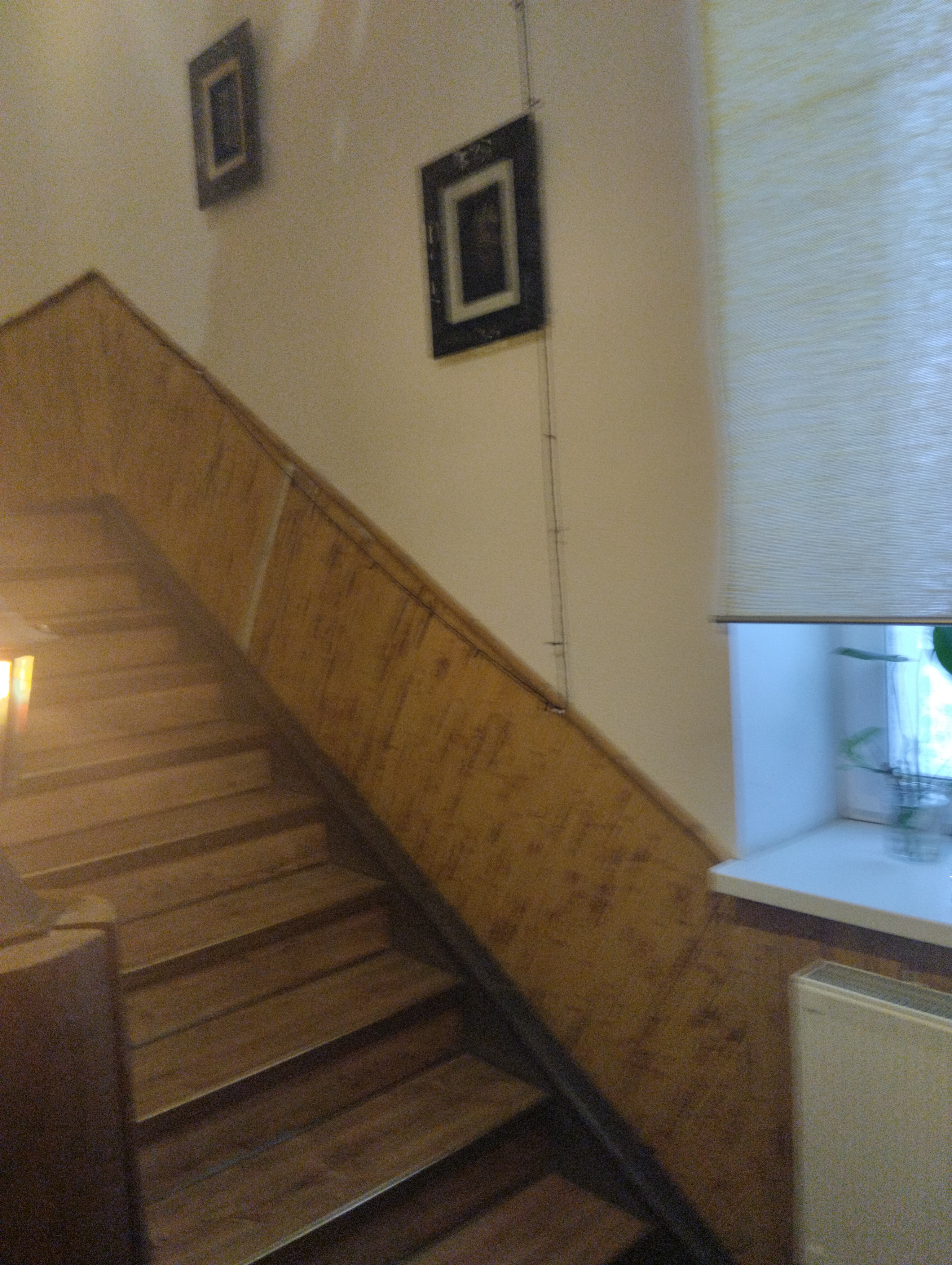 Фото Масаи мара