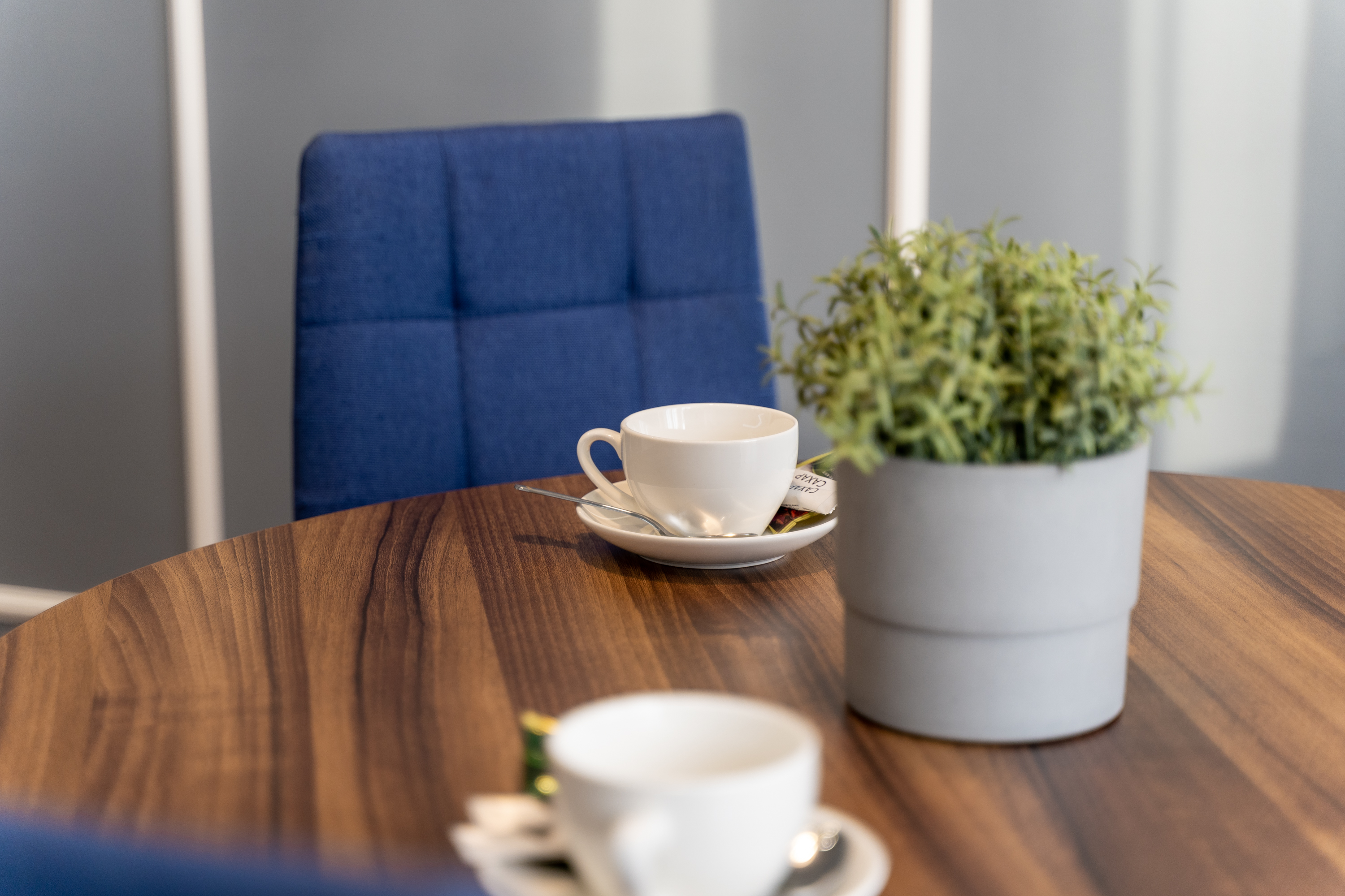 Фото Пять звезд