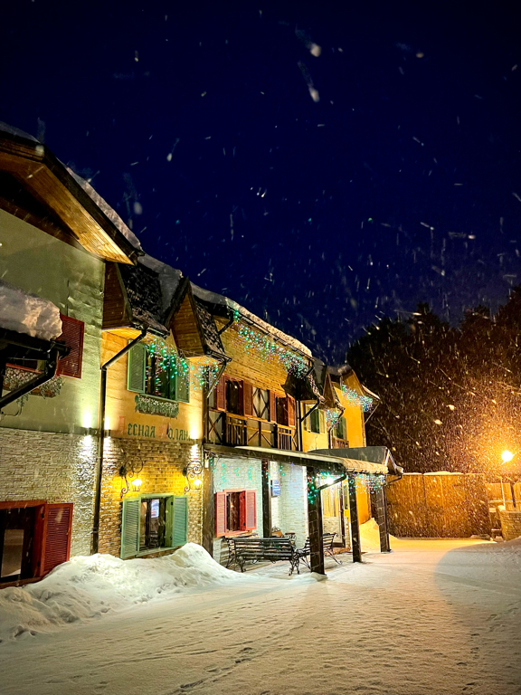 Фото Лесная поляна