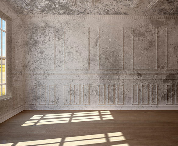 Construction and finishing works Painting Contractors, Dubai, photo