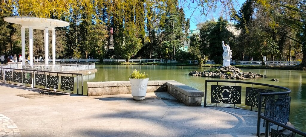 Urban forest Дендрарий, Южные ворота, Sochi, photo