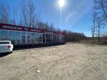 AvtoBATAREYA (Solikamskaya Street, 313А/1), batteries and chargers