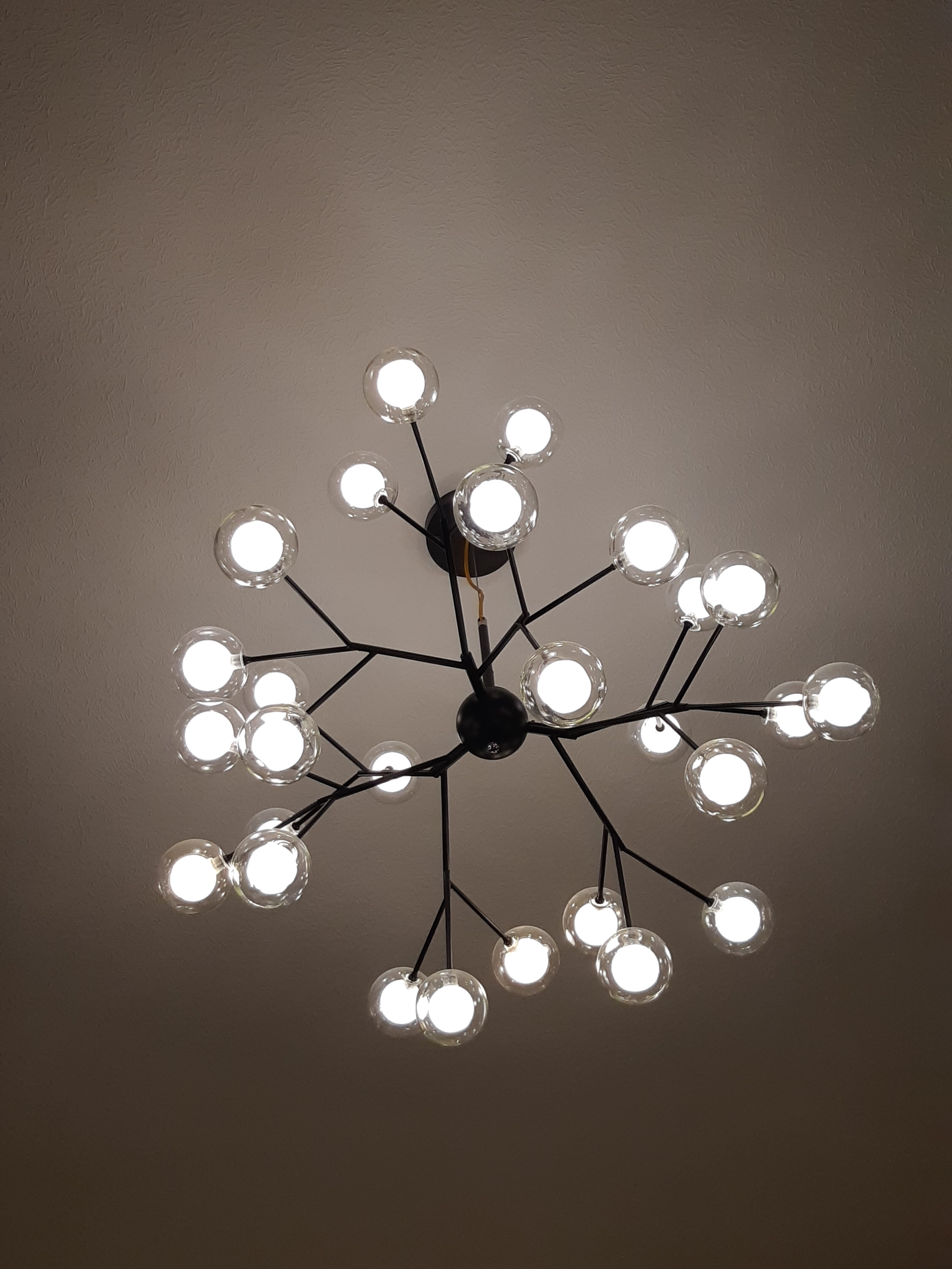 Фото 138324136117