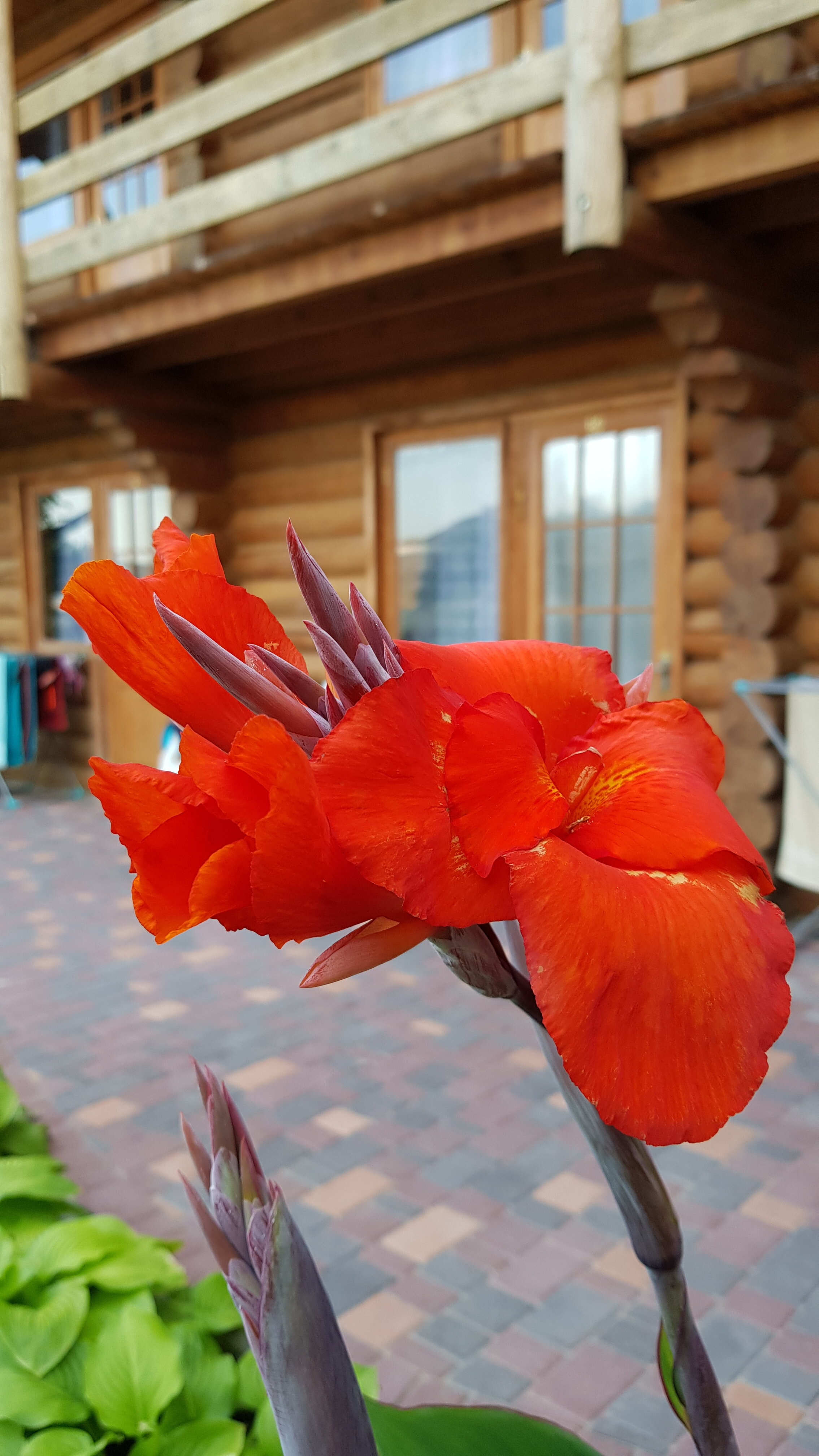 Фото Самоцветы