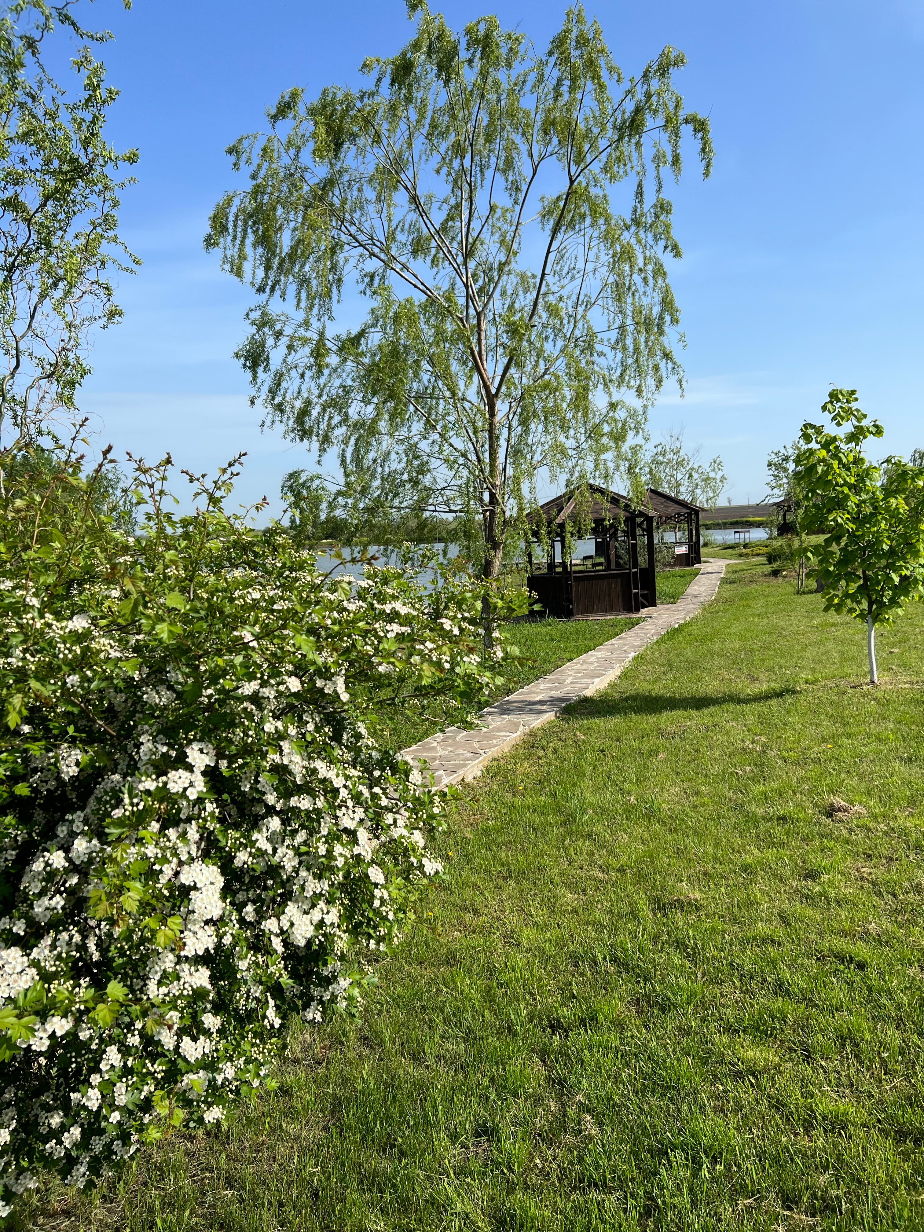 Фото Терра23