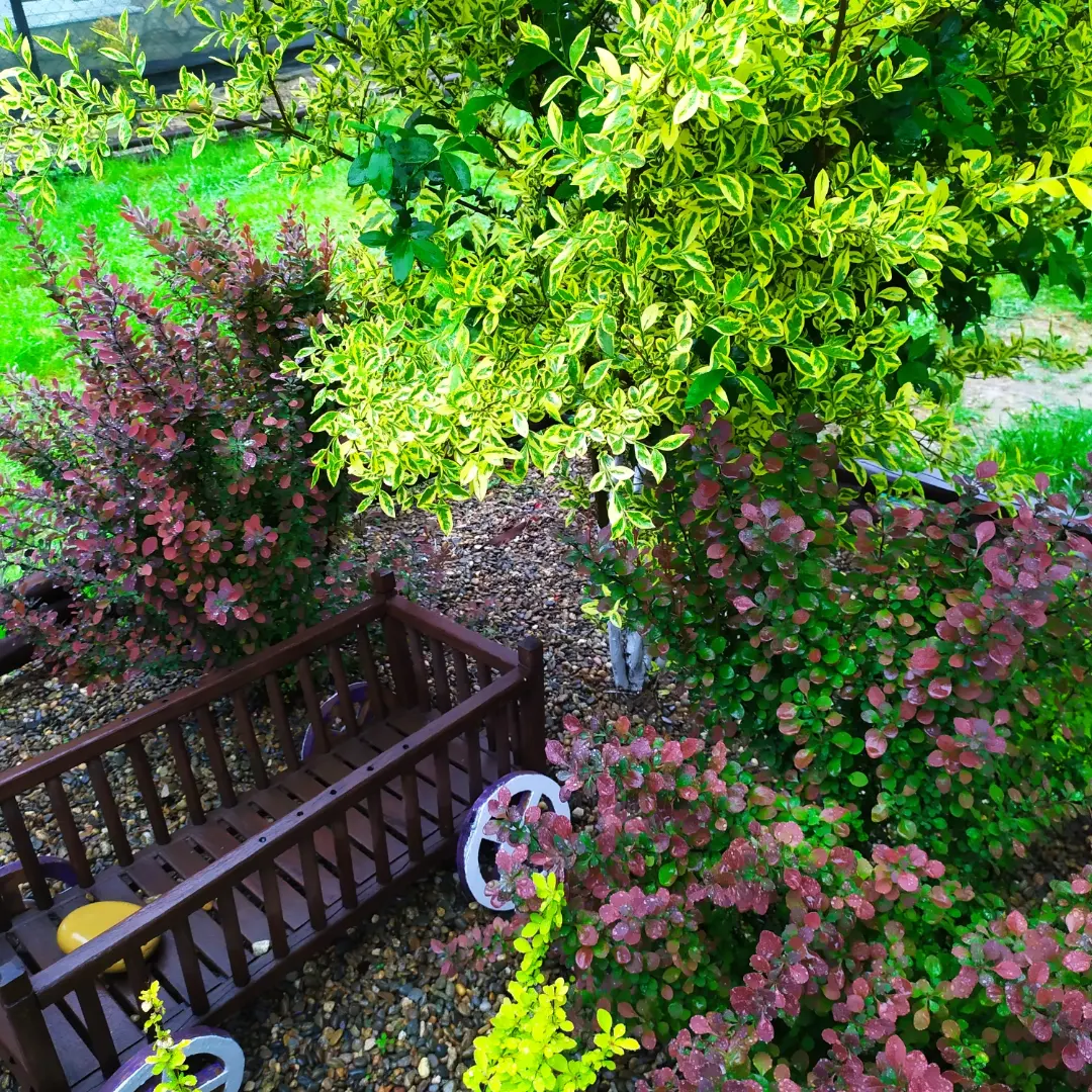 Фото Надежда