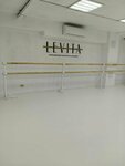LEVITA (Donskaya Microdistrict, ulitsa Chekhova, 46/2), dance school