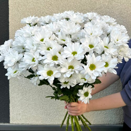 Қыздың жыныс мүшесінің тамағынан көрінген видеосы