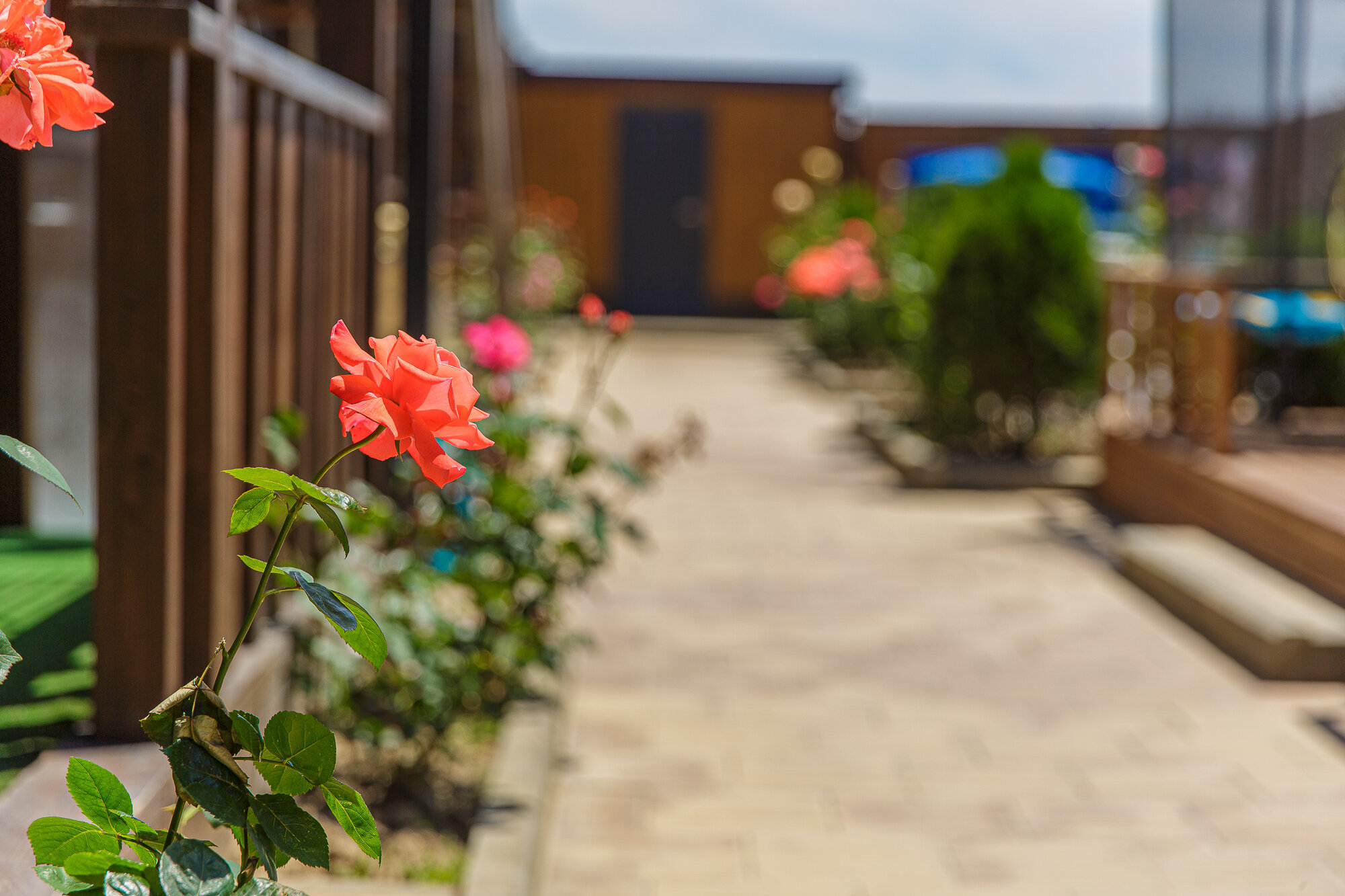 Фото отеля 4