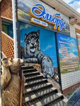 Elbrus (Urban-type Settlement Orshanka, Pogranichnaya ulitsa, 19), cafe