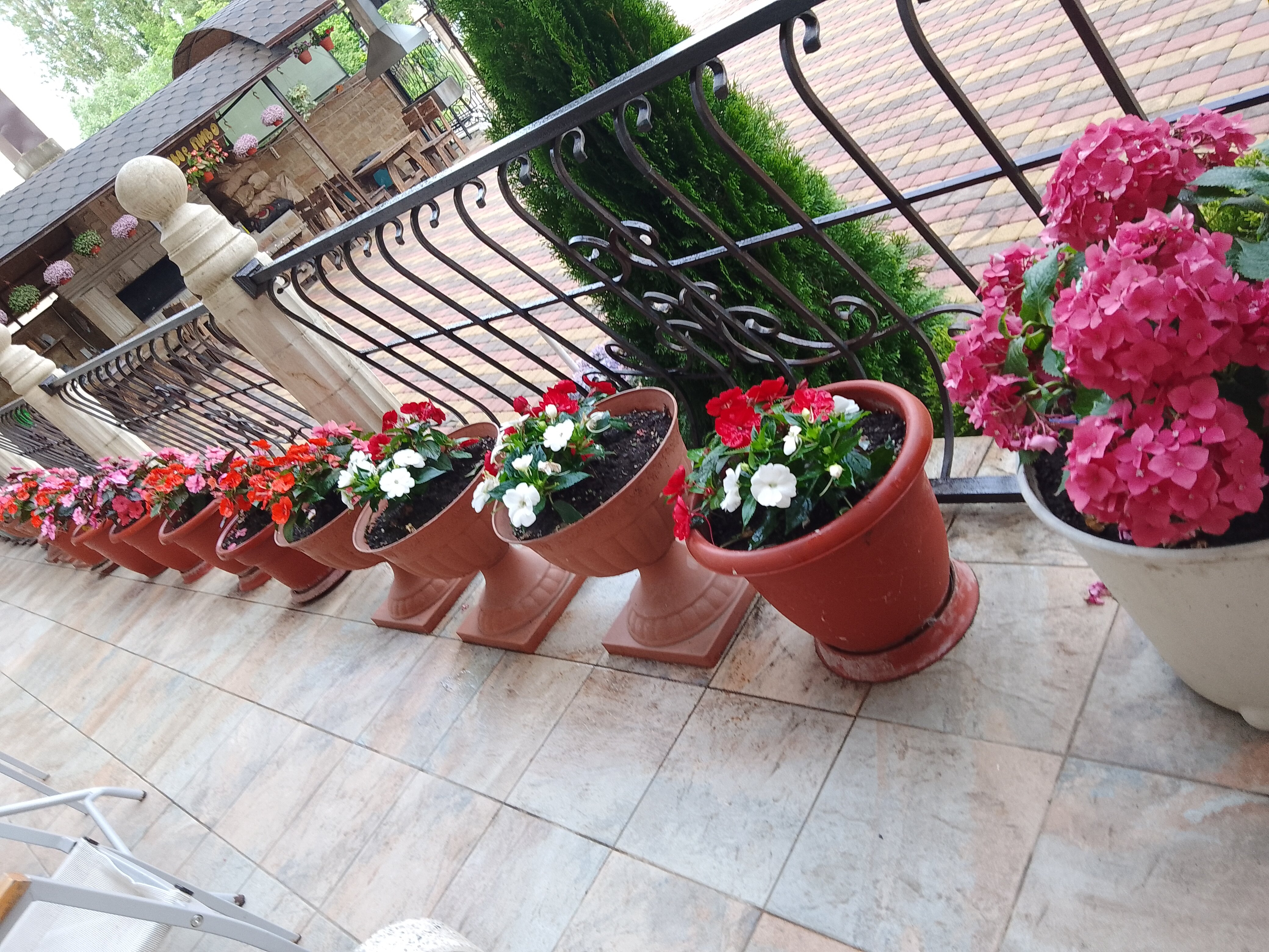 Фото Золотая Корона