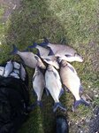 FeederBuy.ru Feeder Shop (Yasnogorskaya Street, 17к2), fishing gear and supplies