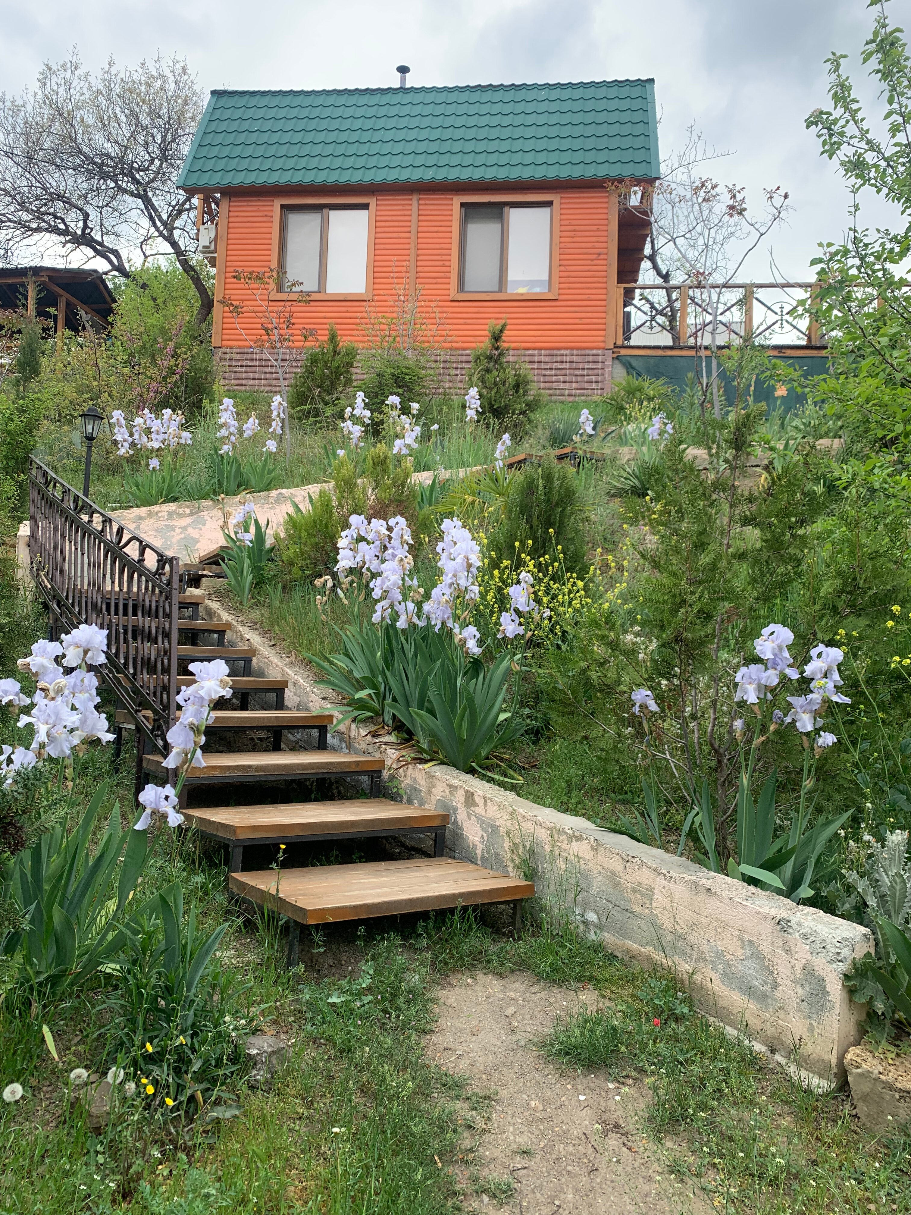 Фото Эспаньола