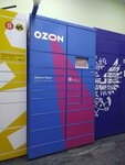 Ozon Box (ул. Руставели, 19), постамат в Москве