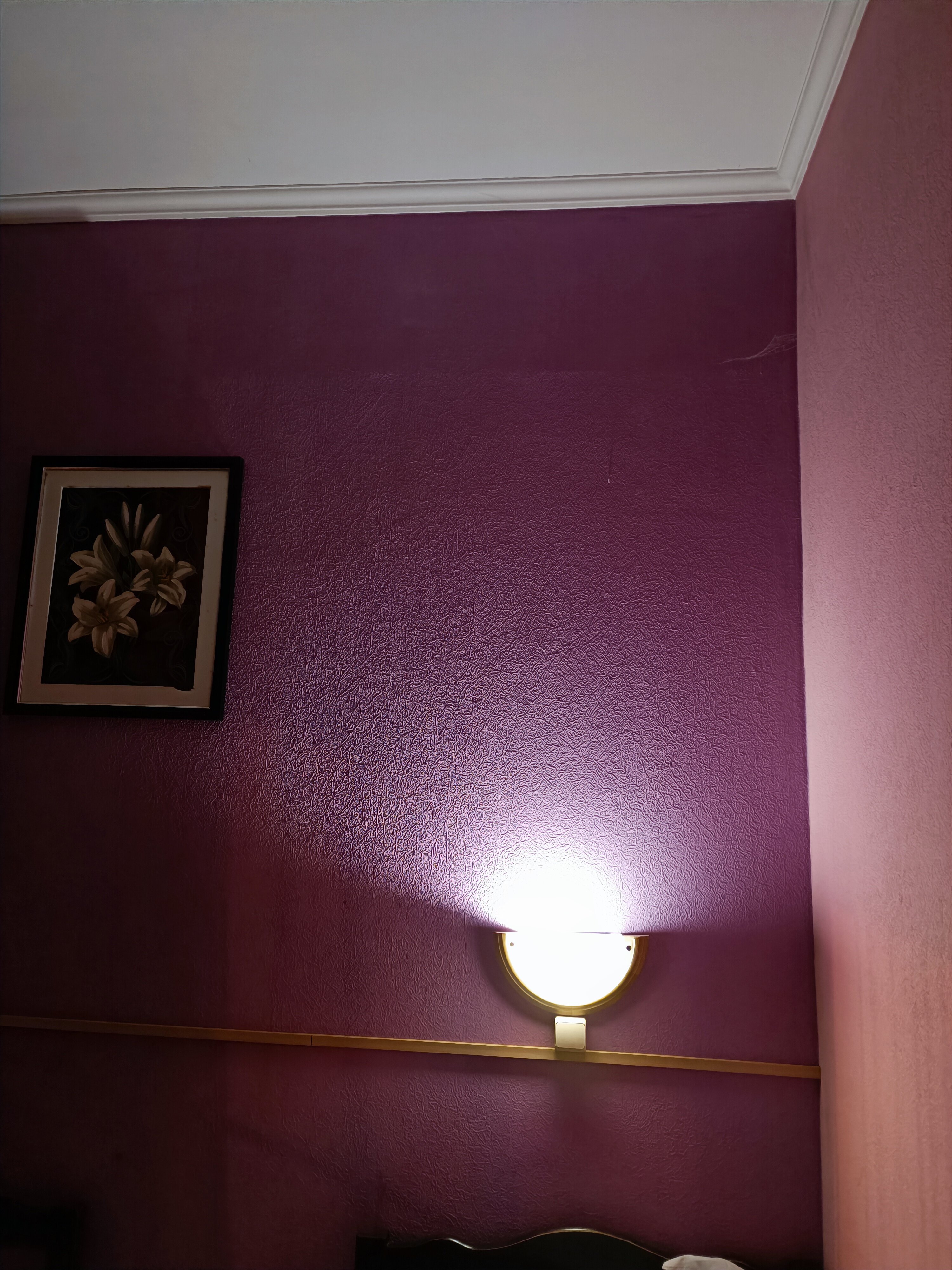 Фото Глория