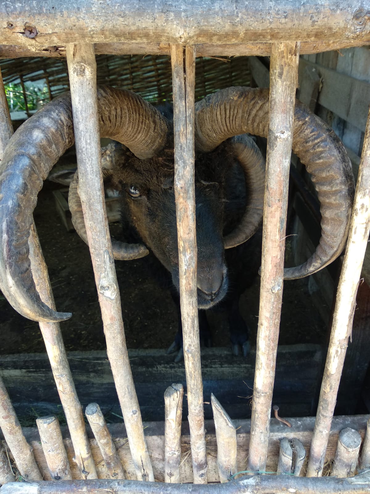 Фото Парк-Отель