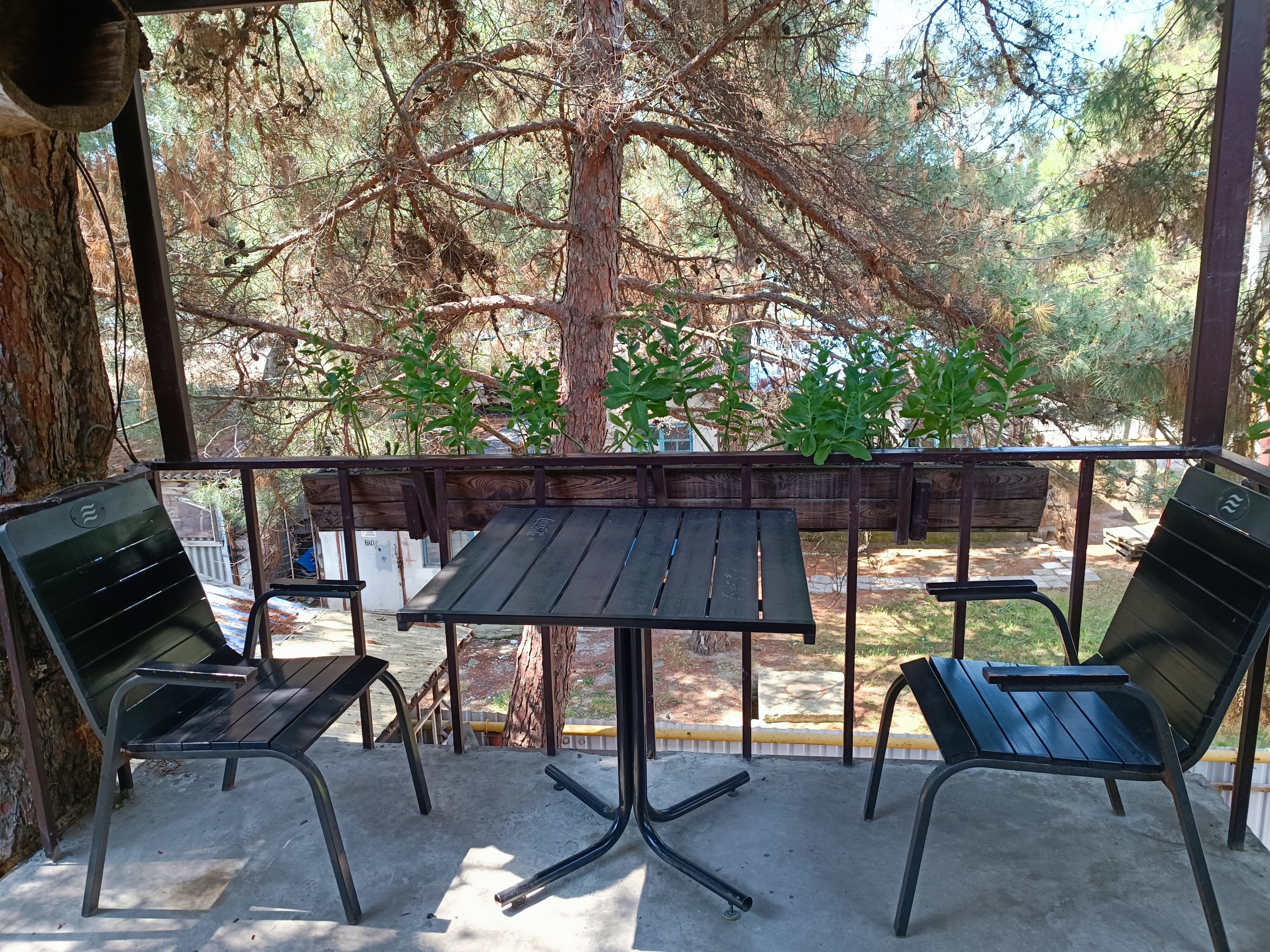 Фото Сундук