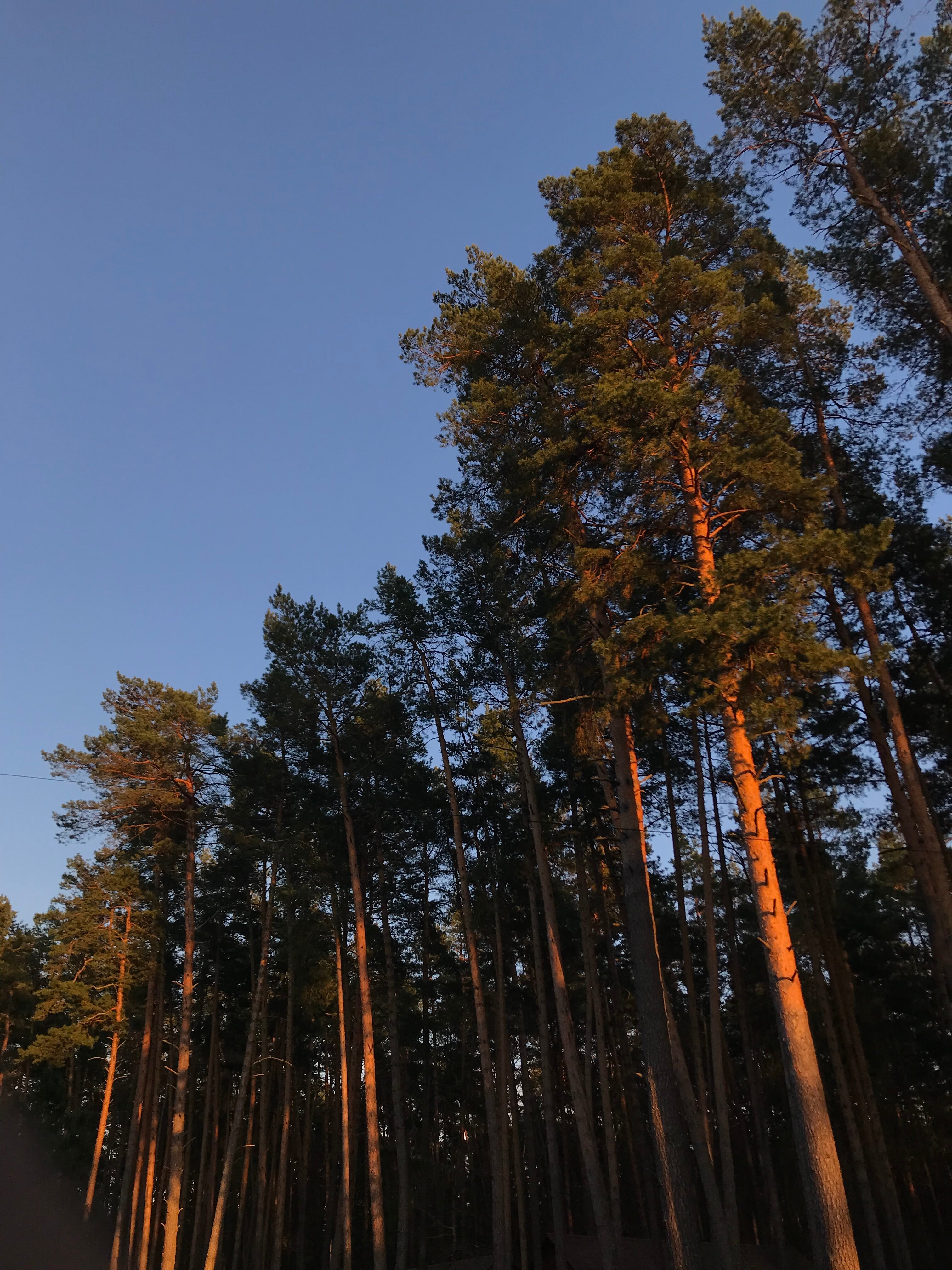 Фото Премьера