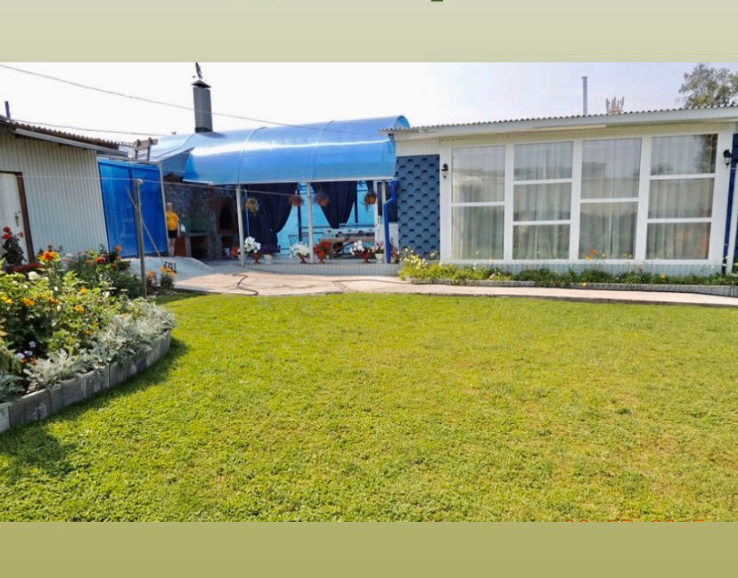 Фото Береза