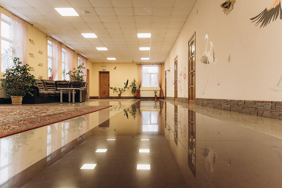 Фото Фламинго