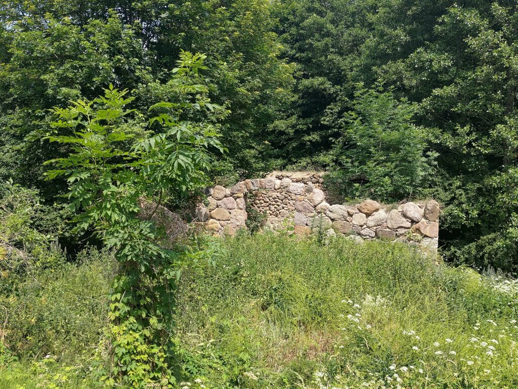 Landmark, attraction Руины мельницы имения Титин, XIX-начало XX вв., Grodno District, photo