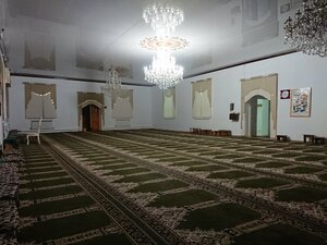 Центральная мечеть (Republic of Ingushetia, Sunzhenskiy rayon, selo Alkhasty, Tsentralnaya ulitsa), mosque