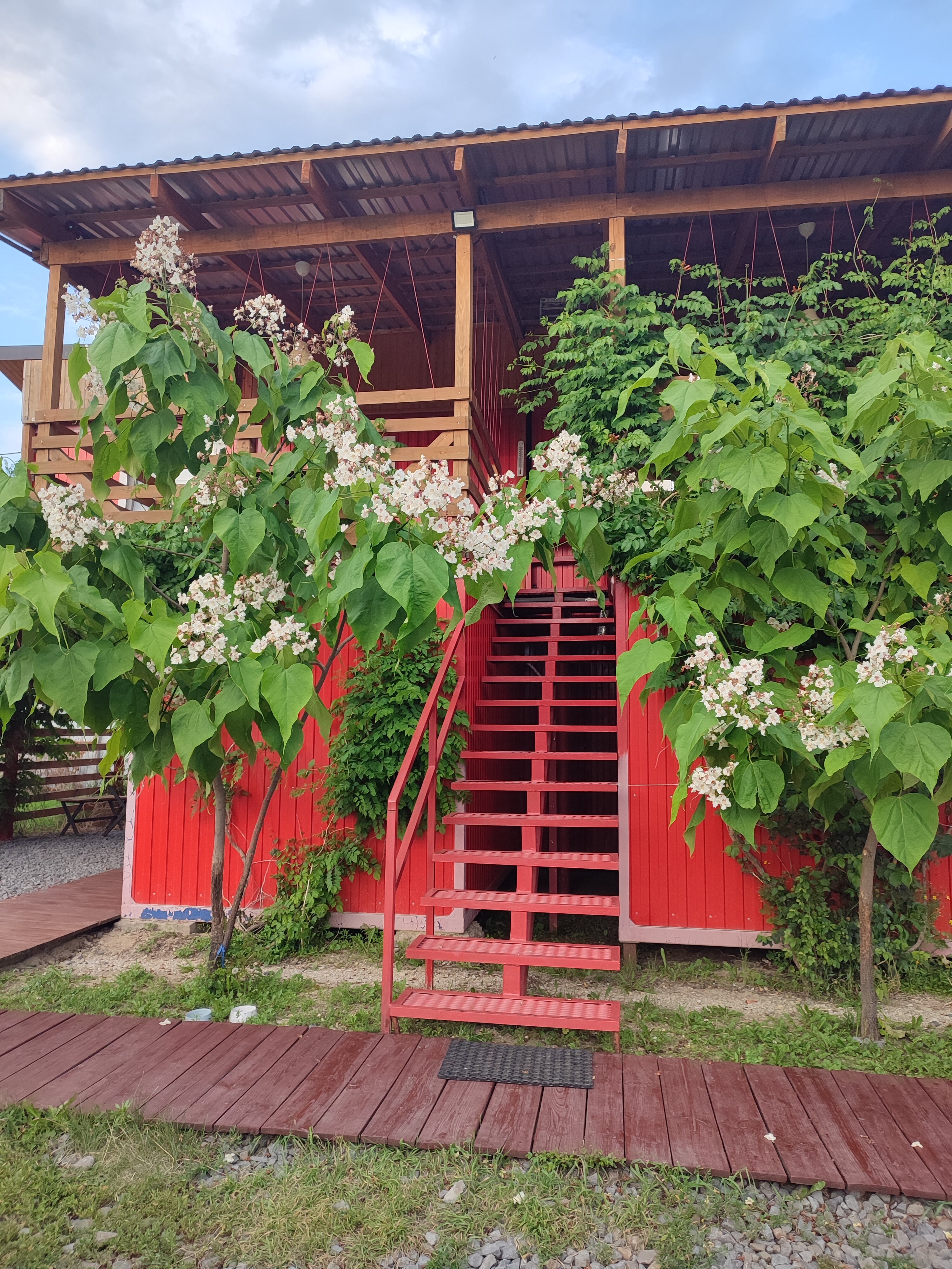 Фото Добрыня