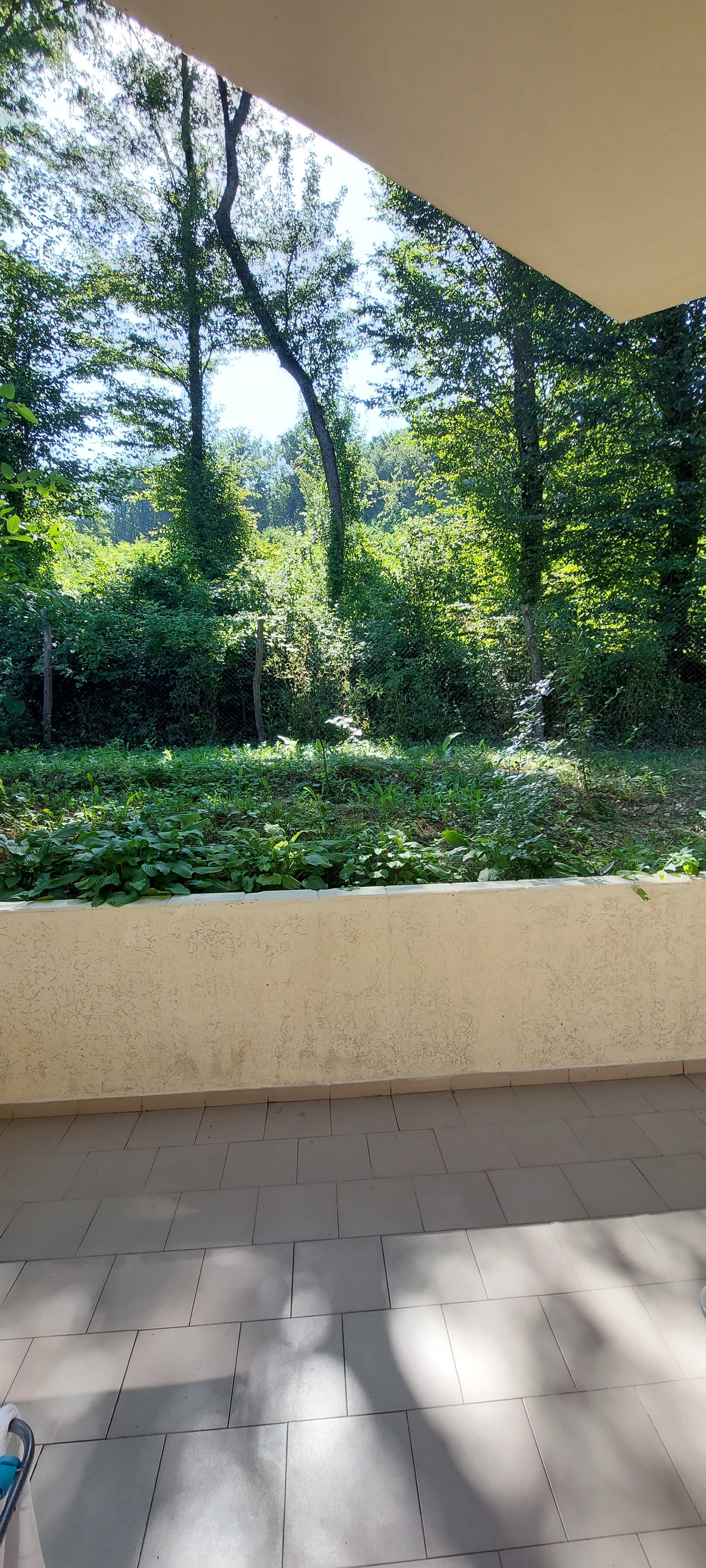 Фото Кристалл