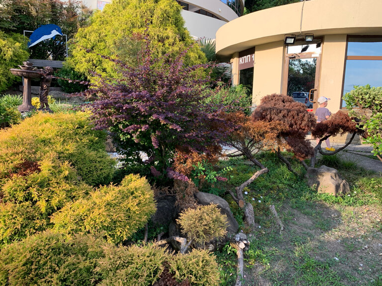 Фото Дивный